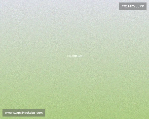 2021年青岛iro比赛