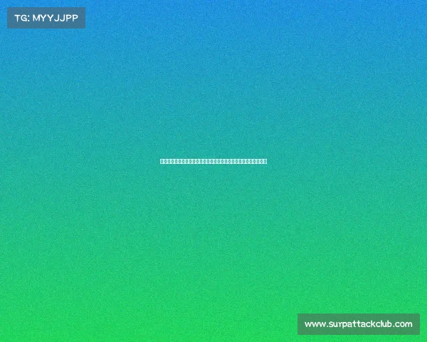 国家体育总局关于正式批准举办全国大学生篮球联赛的官方批文公告