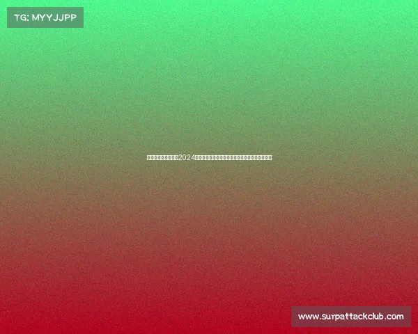 惠州跑车赛道—惠州2024国际马拉松赛事激情开跑携手共创健康城市新篇章