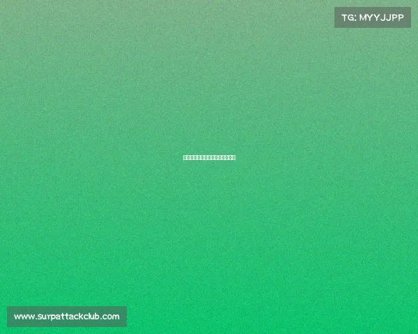 滑雪赛事网站、滑雪赛事网站排名